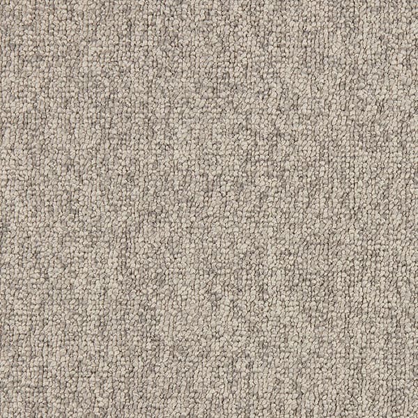 TrafficMaster 8 in. x 8 in. Pattern Loop Carpet Sample - Lanwick