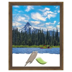 Lucie Light Bronze Wood Picture Frame Opening Size 11 x 14 in.