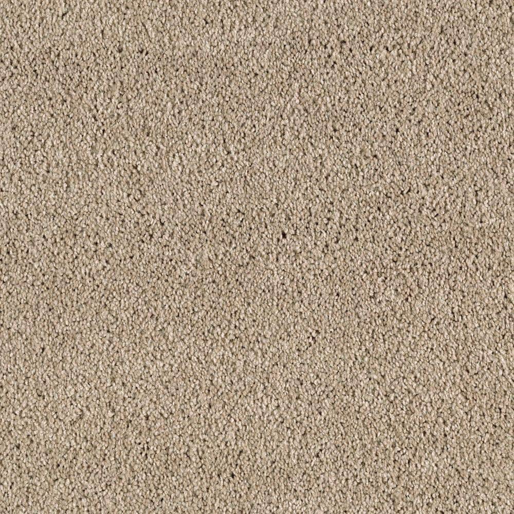 8 in. x 8 in. Texture Carpet Sample - Ambrosina I -Color Fieldstone price history on PriceWatchPro