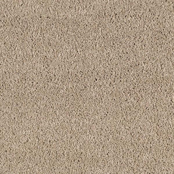 Lifeproof 8 in. x 8 in. Texture Carpet Sample - Ambrosina I -Color Fieldstone