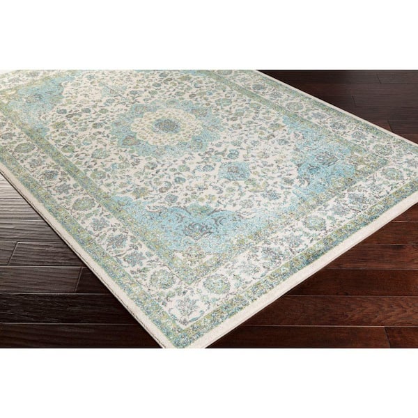 Didius Teal 5 ft. x 8 ft. Indoor Area Rug