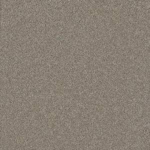 Misty Meadows I- Dayton Beige - 45 oz. SD Polyester Texture Installed Carpet