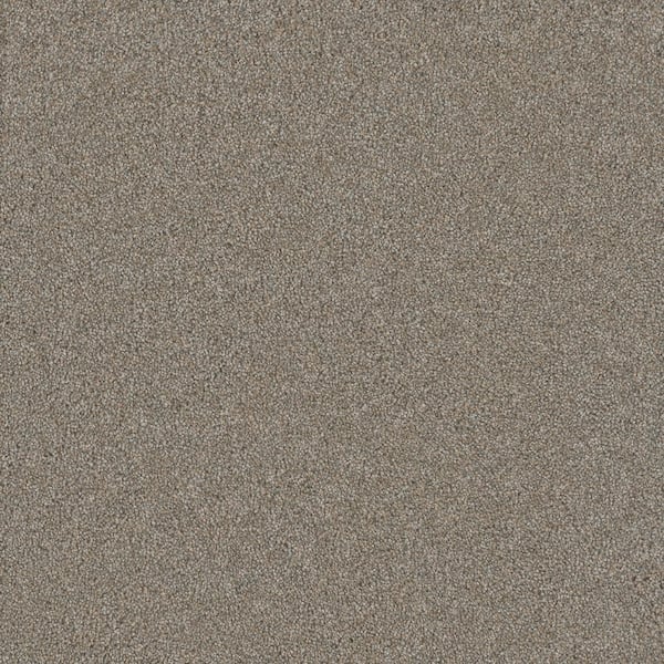 Lifeproof Misty Meadows I- Dayton Beige - 45 oz. SD Polyester Texture Installed Carpet
