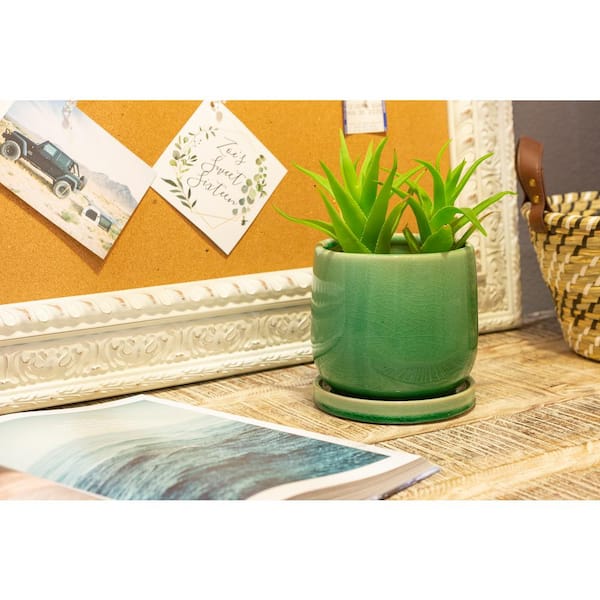 6 in. Mint Oceana Ceramic Planter