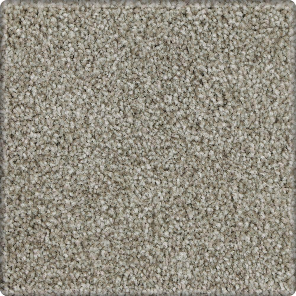 8 in. x 8 in. Texture Carpet Sample - Denfort - Color Perfect Taupe price history on PriceWatchPro
