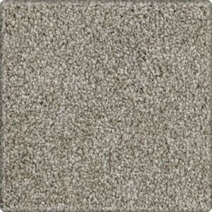 Denfort - Color Perfect Taupe Indoor Texture Brown Carpet