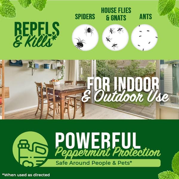 8 oz. Insect and Pest Control Peppermint Concentrate - Makes a Gallon - Natural Spray for Spiders, Ants, and More