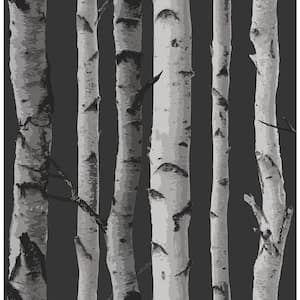 Distinctive Black Birch Tree Paper Peelable Roll Wallpaper (Covers 56.4 sq. ft.)