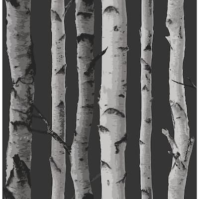 Distinctive Black Birch Tree Black Wallpaper Sample
