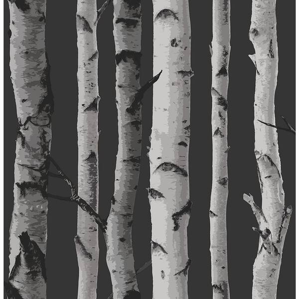 Fine Decor Distinctive Black Birch Tree Black Wallpaper Sample