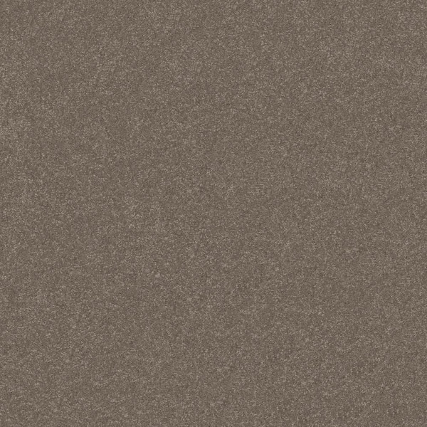 Lifeproof Blakely II - Bogart-Brown 12 ft. 52 oz. High Performance Polyester Texture Installed Carpet
