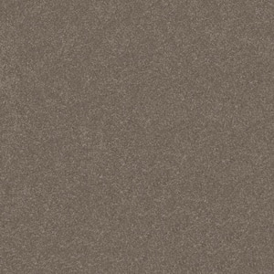 Blakely I - Bogart-Brown 12 ft. 37 oz. Polyester Texture Installed Carpet