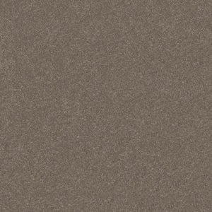 House Party II - Rich Earth - Brown 51.5 oz. Polyester Texture Installed Carpet