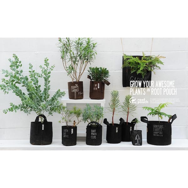 5 Piece Natural Fibers Pot Planter Set VIVOSUN