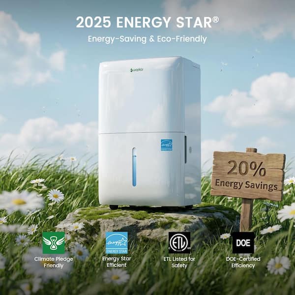 120 pt. 6,000 sq. ft. Energy Star Dehumidifier with Drain Hose and Bucket for Basement and Bedroom in White