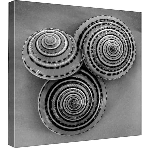 PTM Images 15 in. x 15 in. ''B&W Seashell B'' Printed Canvas Wall Art