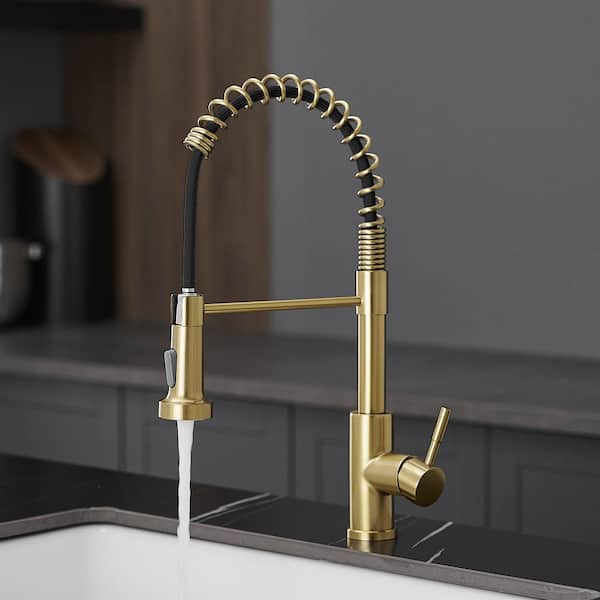Single Handle Pull Down Sprayer Kitchen Faucet with Dual Function Spray Head in Brushed Gold