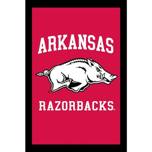 Evergreen Enterprises NCAA 28 in. x 44 in. Arkansas 2-Sided Flag