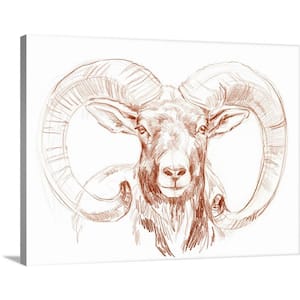 "Big Horn Sheep I" by Jennifer Paxton Parker 1-Piece Museum Grade Giclee Unframed Animal Art Print 18 in. x 24 in.