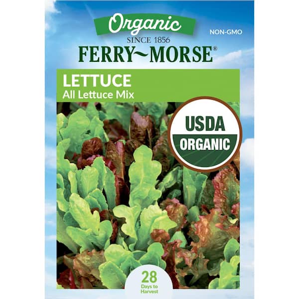 Organic All Lettuce Mix Vegetable Seed