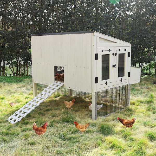 5 ft. x 6 ft. Gray Cedar Wood Large Chicken Coops, Hen House with 4-Nesting Boxes and 3-Roosting Bars