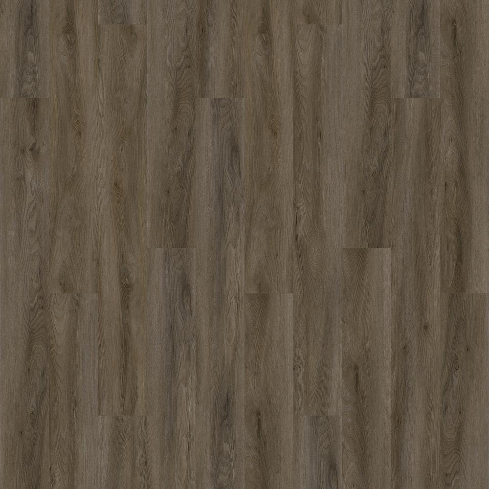 Take Home Sample - Basics Ancient Hue Glue down Waterproof Luxury Vinyl Plank Flooring price history on PriceWatchPro