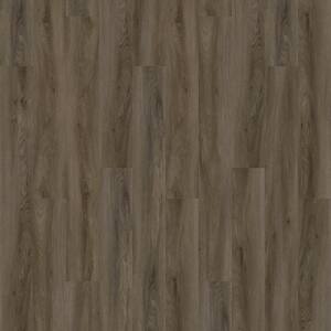 Take Home Sample - Basics Ancient Hue Glue down Waterproof Luxury Vinyl Plank Flooring