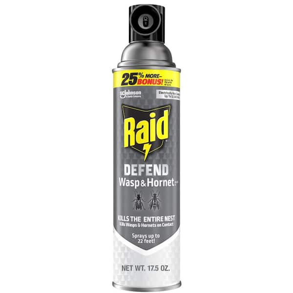 Wasp and Hornet Killer, Stinging Bug Insecticide for Outdoor Use, Insect Killer, 17.5 oz.
