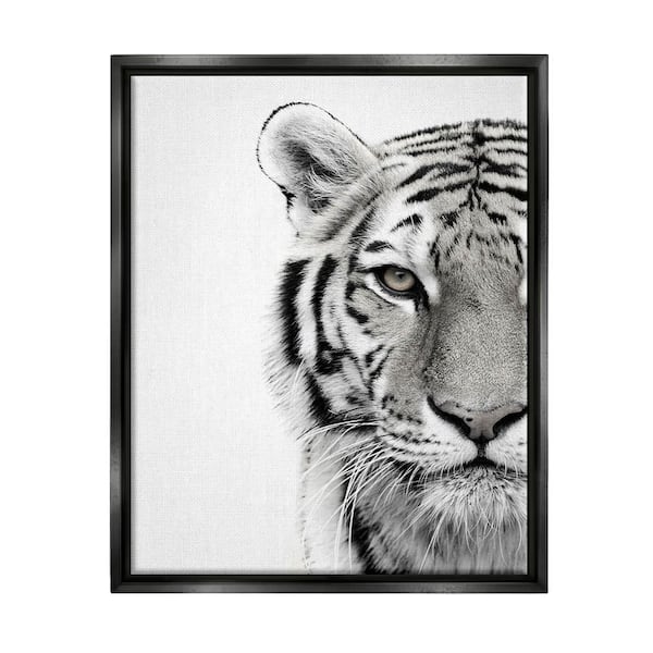 The Stupell Home Decor Collection White Tiger Close Up Black and White Photography by Design Fabrikken Floater Frame Animal Wall Art Print 31 in. x 25 in.