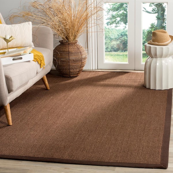 Natural Fiber Brown 4 ft. x 6 ft. Border Area Rug