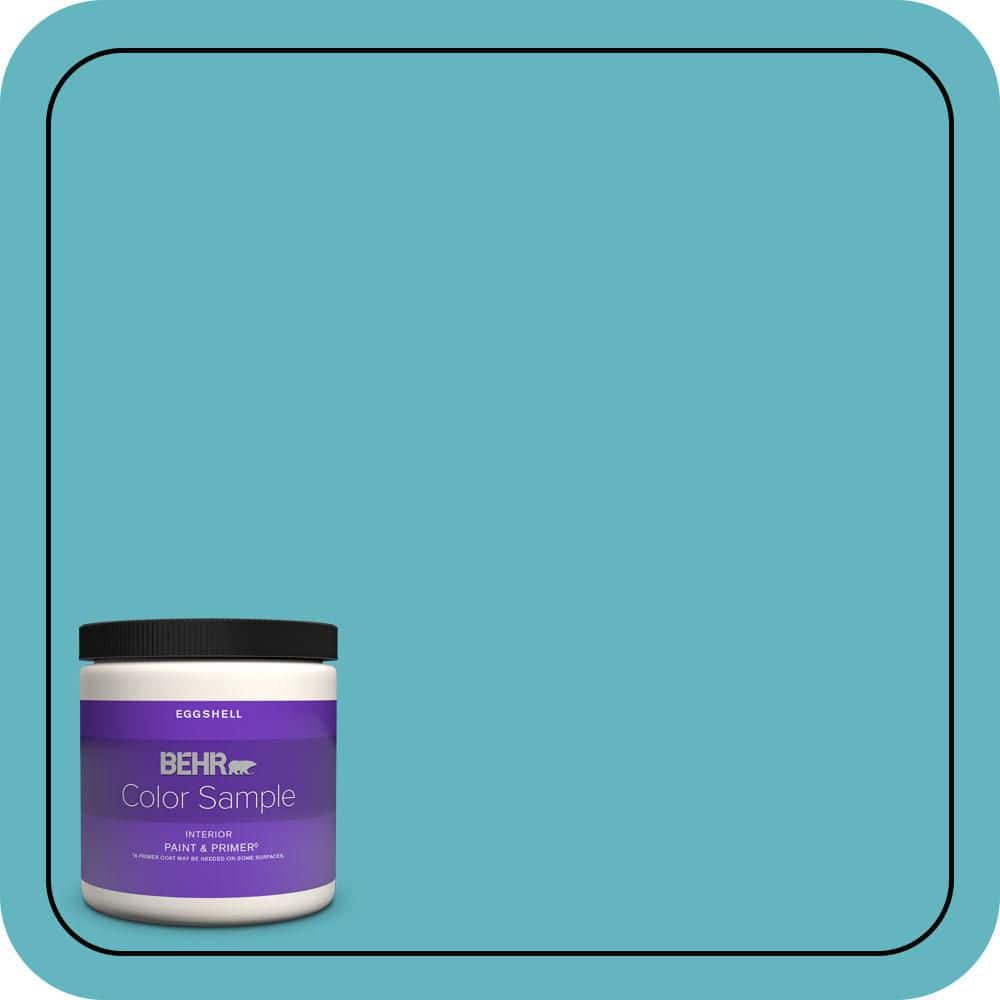 8 oz. #MQ4-51 Adonis Eggshell Enamel Interior Paint & Primer Color Sample price history on PriceWatchPro
