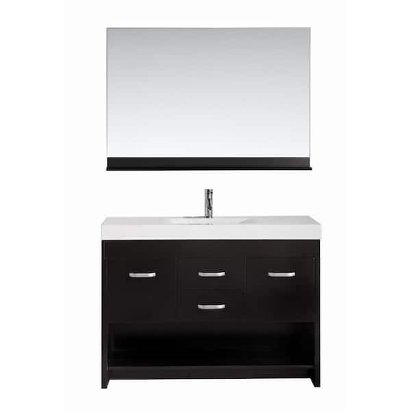 Design Element Citrus 48 in. W x 18 in. D Single Vanity in Espresso with Acrylic Vanity Top and Mirror in White