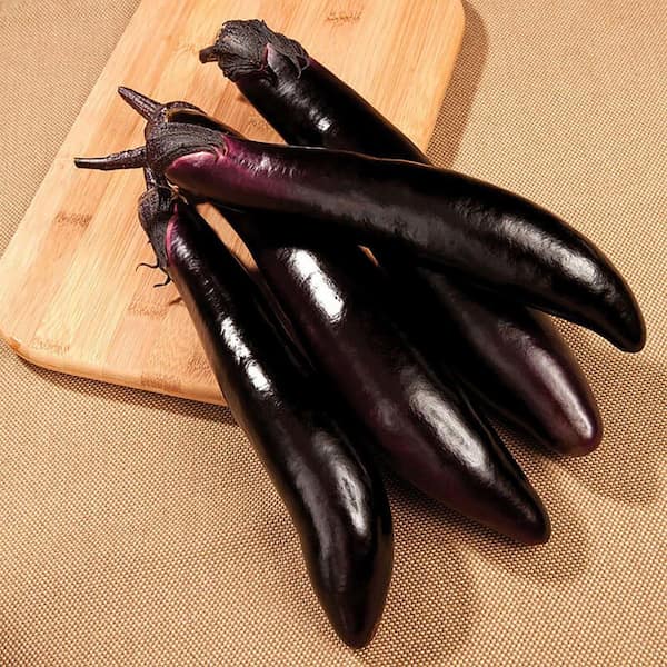 14.6 oz. Organic Shikou Egg Plant
