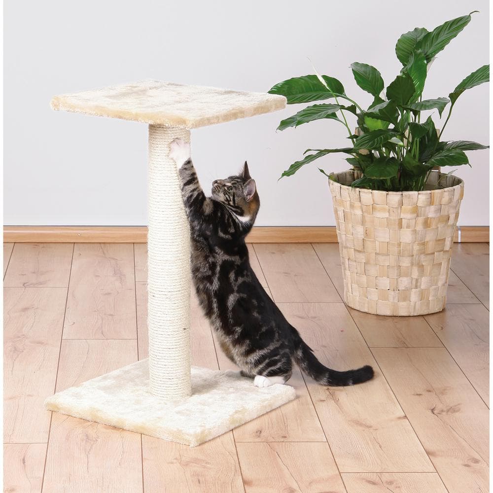 Beige Sisal Cat Scratching Post with Plush Platform