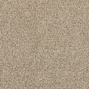 Household Hues II SandStone Beige 41 oz. Polyester Textured Installed Carpet