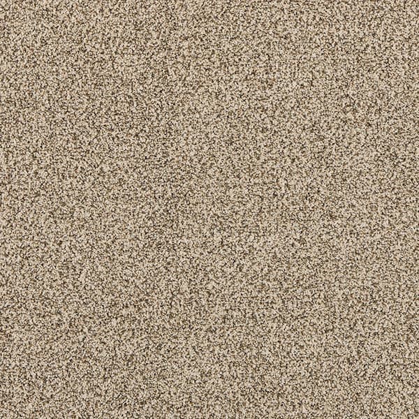 TrafficMaster Household Hues II SandStone Beige 41 oz. Polyester Textured Installed Carpet
