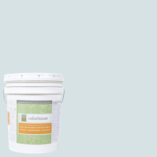 Colorhouse 5 gal. Air .06 Flat Interior Paint