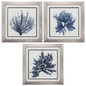 22 in. X 22 in. Silver Gallery Picture Frame Coastal Seaweed (Set of 3)