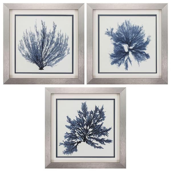 HomeRoots 22 in. X 22 in. Silver Gallery Picture Frame Coastal Seaweed (Set of 3)