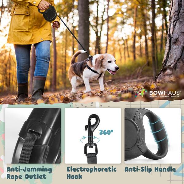 beatles dog collar and leash The Beatles dog collar adjustable buckle collar 1