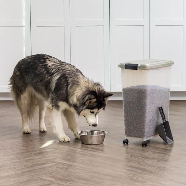 IRIS 37.5 lbs Airtight Pet Food Container in Chrome