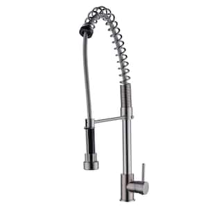 Celie Single-Handle Pull-Down Sprayer Kitchen Faucet with Spring Spout in Brushed Nickel
