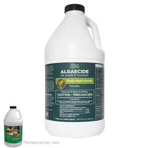 64 oz. Algaecide