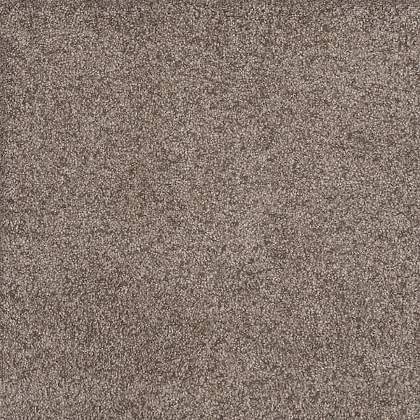8 in. x 8 in. Texture Carpet Sample - Topaz II  - Color Jaybird