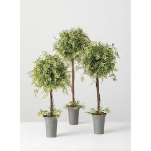 30 in., 26 in. and 24.5 in. Artificial Wisteria Leaf Topiary in Pot - (Set Of 3)