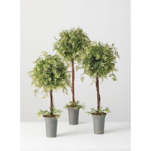 SULLIVANS 30 in., 26 in. and 24.5 in. Artificial Wisteria Leaf Topiary in Pot - (Set Of 3)