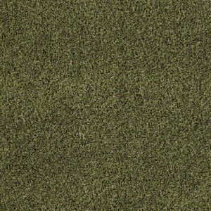 Toulon 12 ft. Wide x Cut to Length Spanish Moss Indoor/Outdoor Artificial Grass