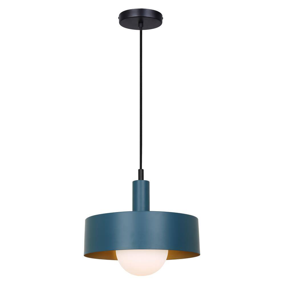 Matte Black Glass Drum Pendant Light with LED Bulb