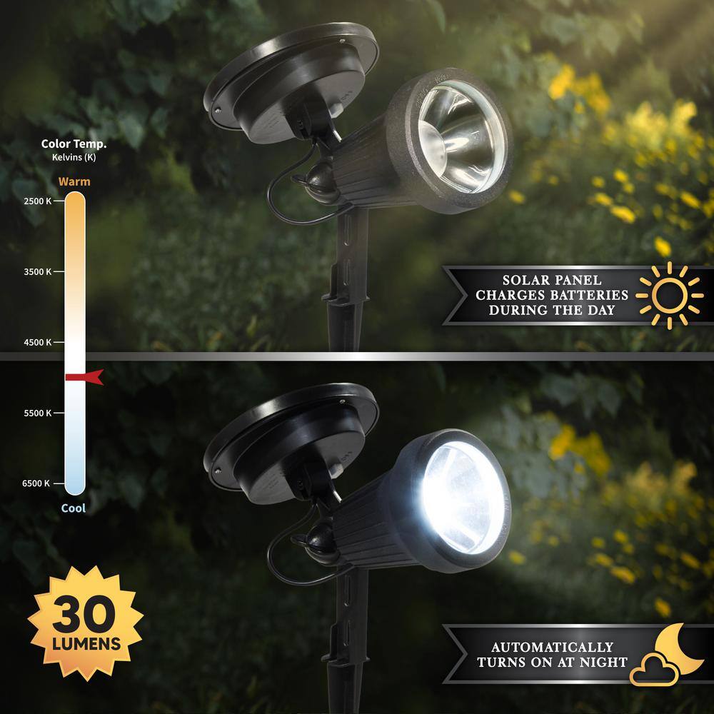 Black Aluminum Solar LED Landscape Spotlight