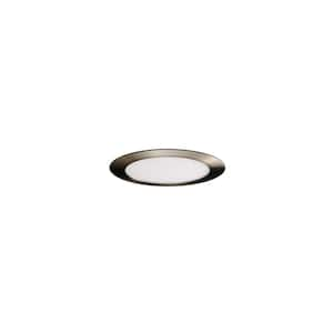 Cranium 4 in. 1-Light Nickel LED Semi-Flush Mount